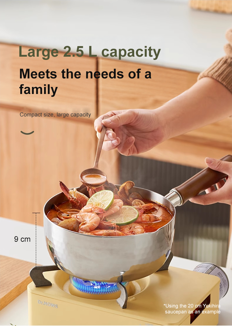 VELOSAN 20 cm Stainless-Steel Saucepan with Steamer
