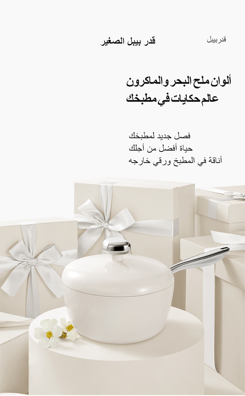 فيلوسان — قدر صلصة ألمنيوم مصبوب 20 سم